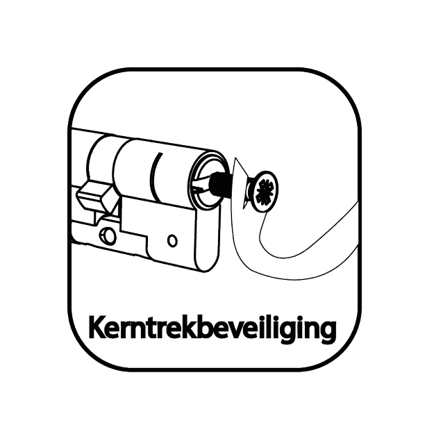 Kerntrekbeveiliging: de voordelen van onze cilindersloten